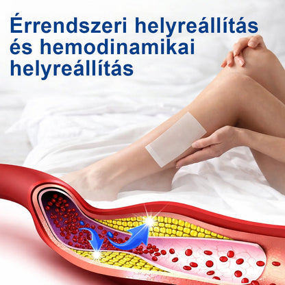🌧️ FFBSI® Visszérápoló Mikrotűs Gondozó Tapasz ⚡ Azonnali Megkönnyebbülés, Hosszú Távú Eredmények
